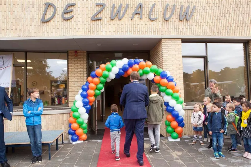 zwaluw 2