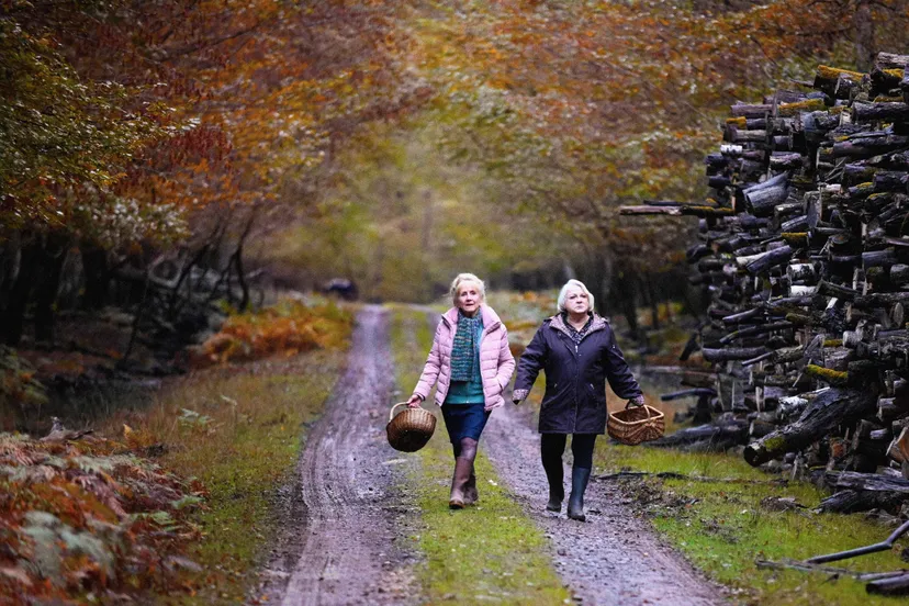 quand vient l automne st 1 jpg sd high