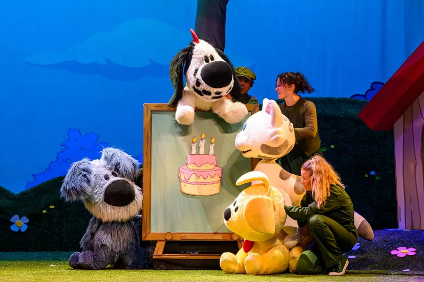 selectie woezel en pip sprookjes 112 klein