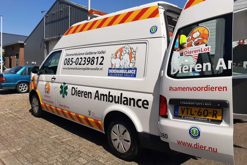 whatsapp image 2023 05 31 at 16 11 10 34f6615