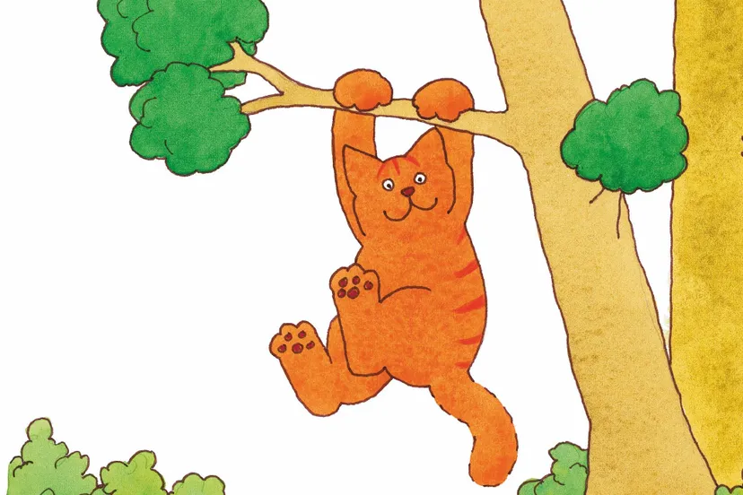 Op-avontuur-met-Dikkie-Dik-Flapboekje-Dikkie-Dik-in-het-bos-©-Jet-Boeke