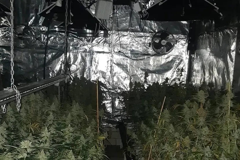 4253213b 51be 4ffc aac4 8b4baeba0de3