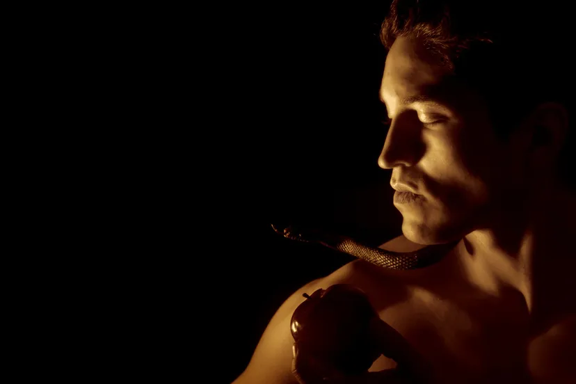 adam appel leonardo de carvalho via pixabay