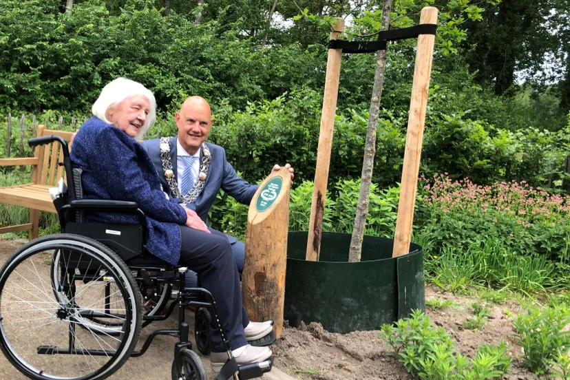 anneke cijsouw bij de boom