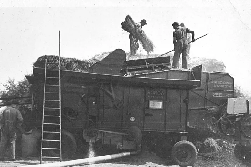 boerendorsengebr schoonen klein