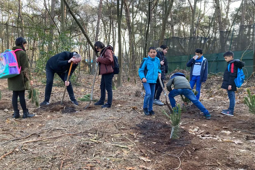bomen planten klimrijk brabant