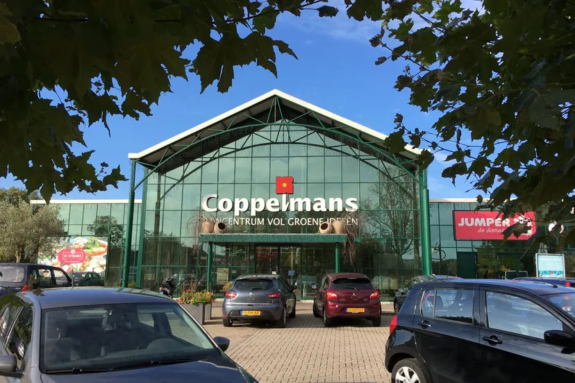coppelmans