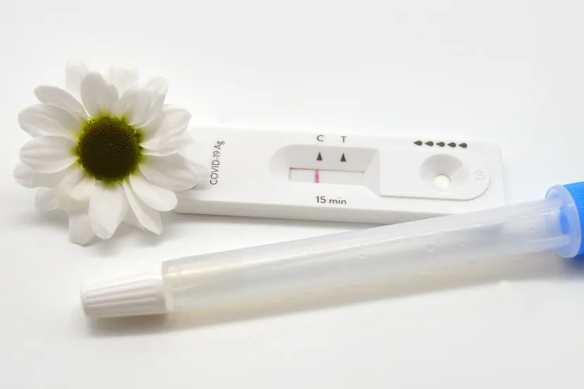 corona test frauke riether via pixabay