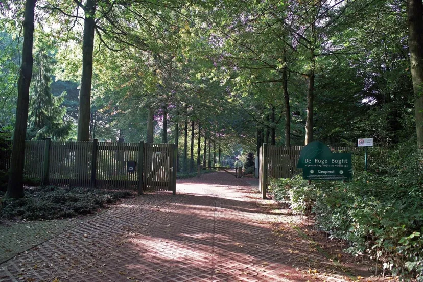 de hoge boght