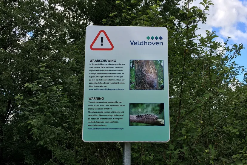 eikenprocessierups waarschuwing