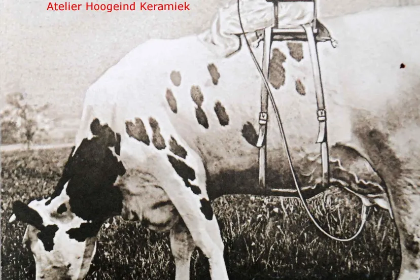 fd8c4ba7 82e3 4138 8c24 f9dd1164d8ea