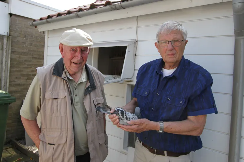 frans boesten en theo kusters