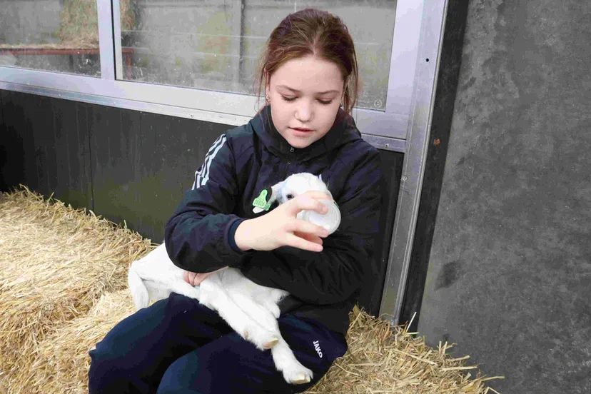 geitenkijkdag 160324 03