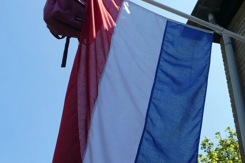 geslaagd elsemargriet via pixabay