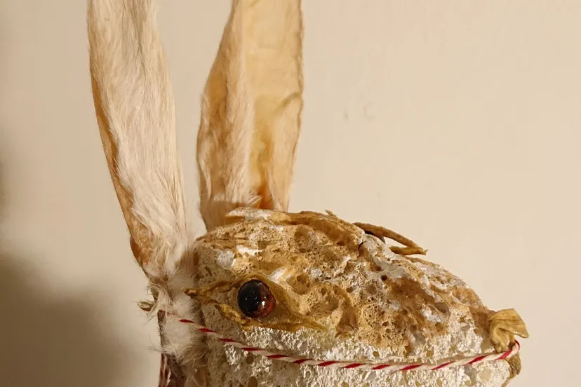 hemel lichaam kunst wilma linders