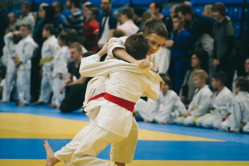 judo markus via pixabay