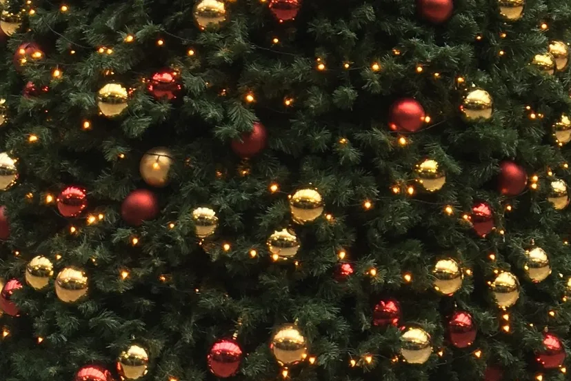 kerst deelvaneenboom