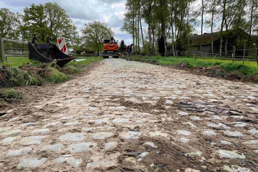 kinderkopjes hoogeind