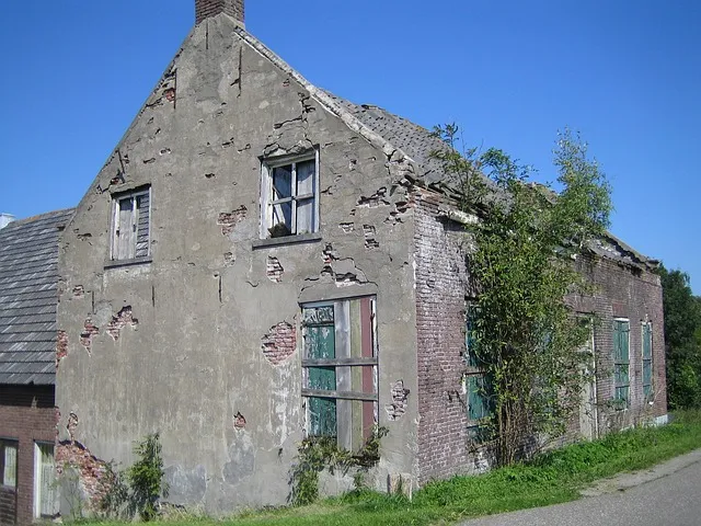 krot annemarie bon via pixabay