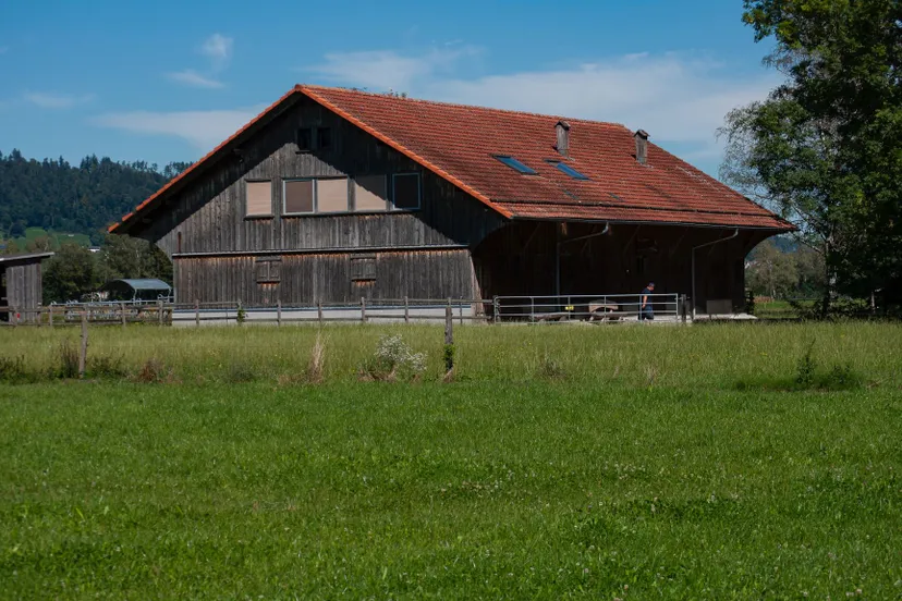 loods harry dona on unsplash