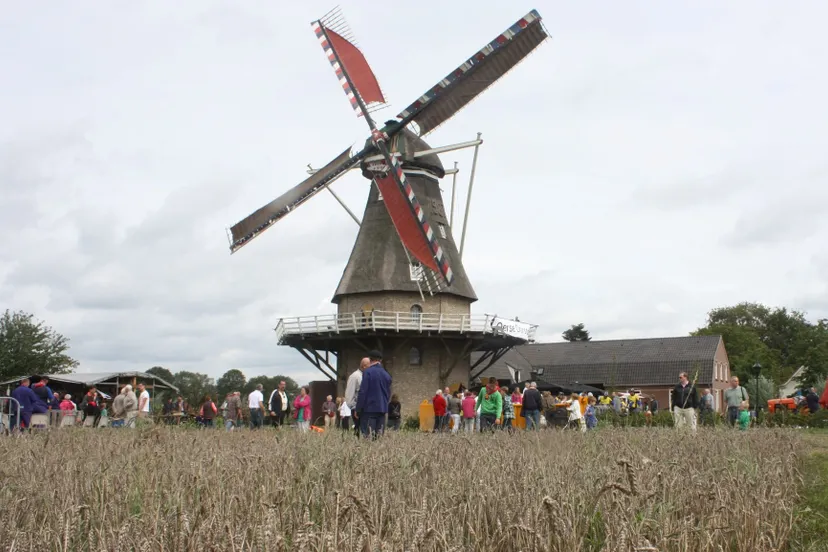 molen met graan