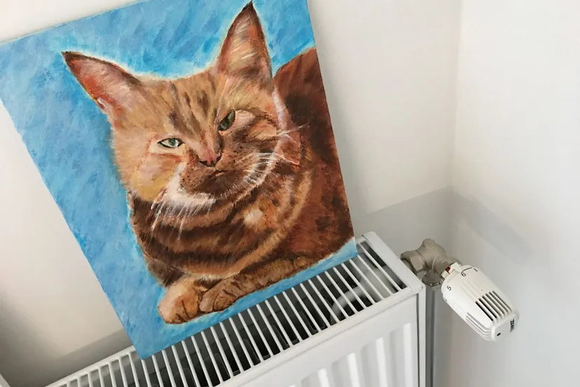 radiator