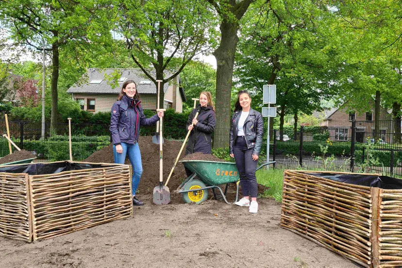 schoolplein vergroenen
