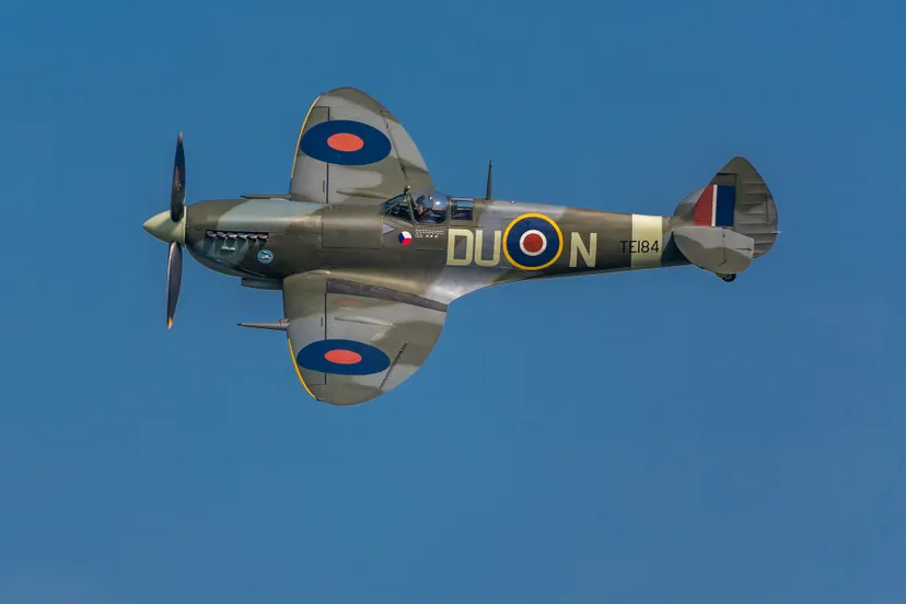 spitfire ho7dog via pixabay