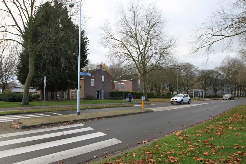 sterrenlaan ambachtslaan foto