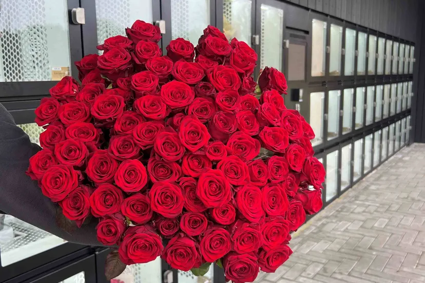 valentijn2024 keijsers rozen