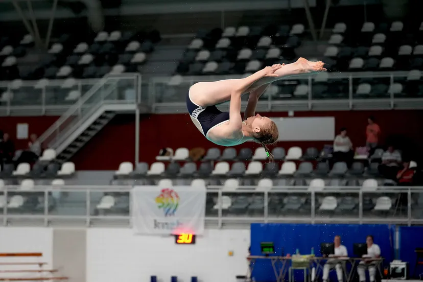 vieve foto schoonspringennl