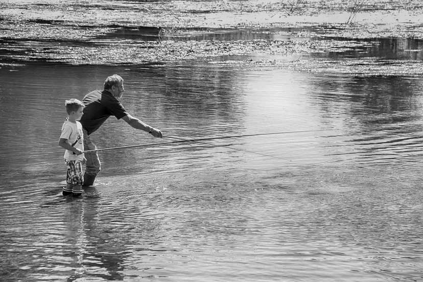 visser chriselle prieur via pixabay