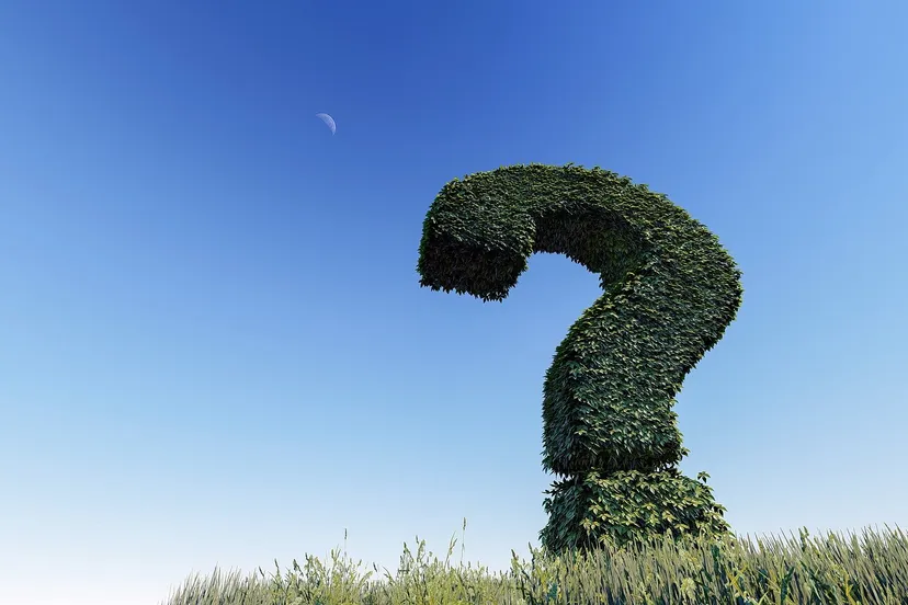 vraagteken arek socha via pixabay