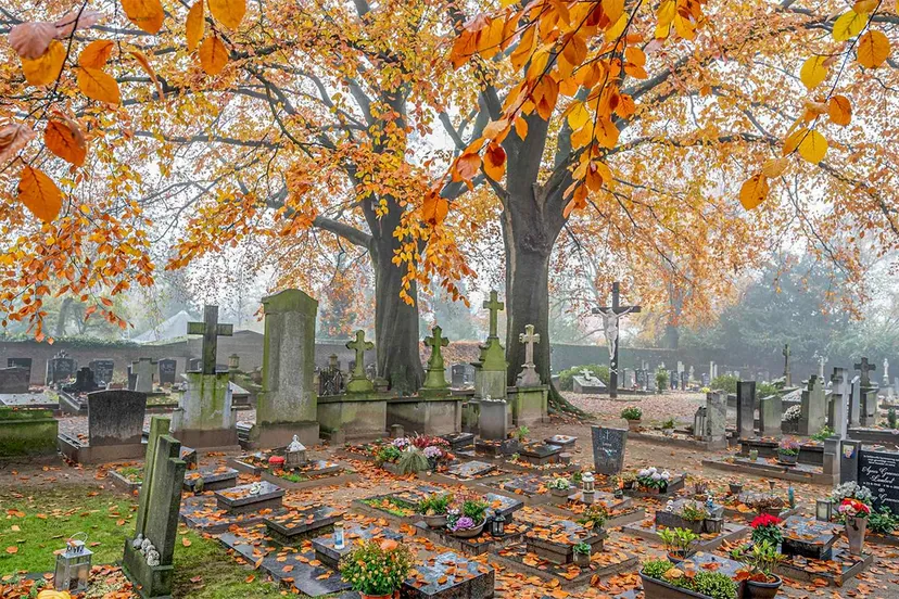 wegwijs in veldhoven foto gonnie van de schans