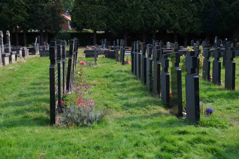 begraafplaats zeelst