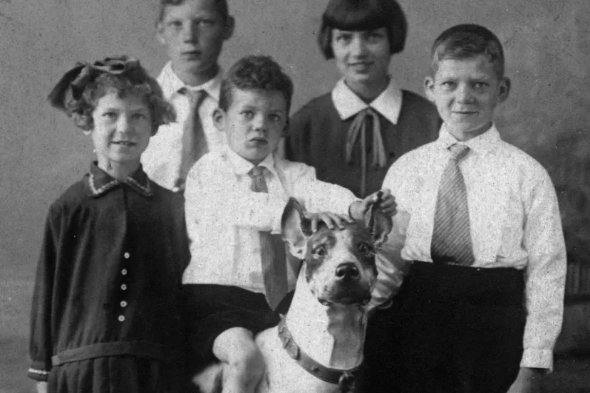 publicatie ngv najaar 24