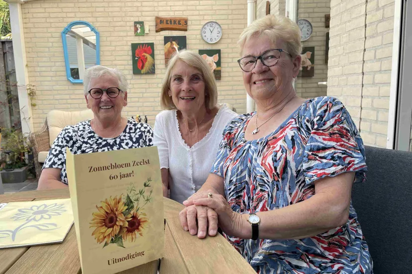 zonnebloem zeelst 60