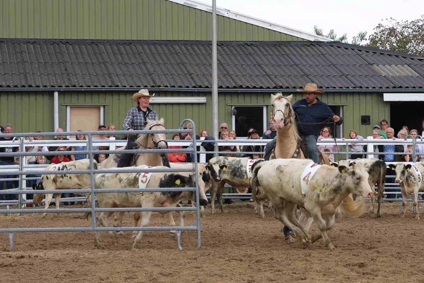 fun aon de run 2024 16