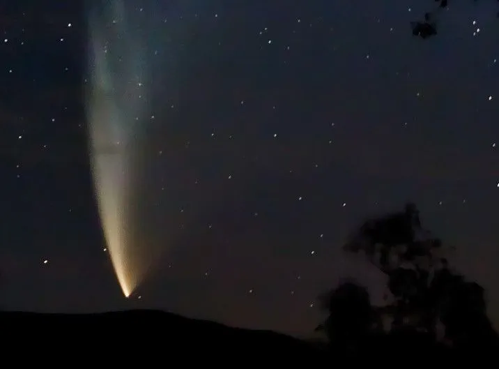 komeet mcnaught klein