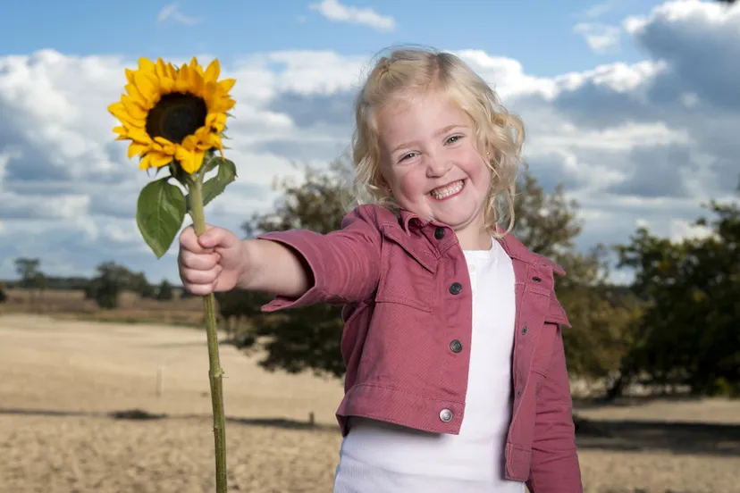 statustoekenning van gogh nationaal park joris buijs