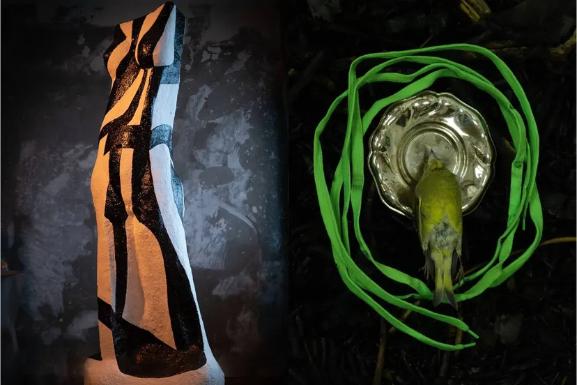 vrouwelijkversusdierlijk