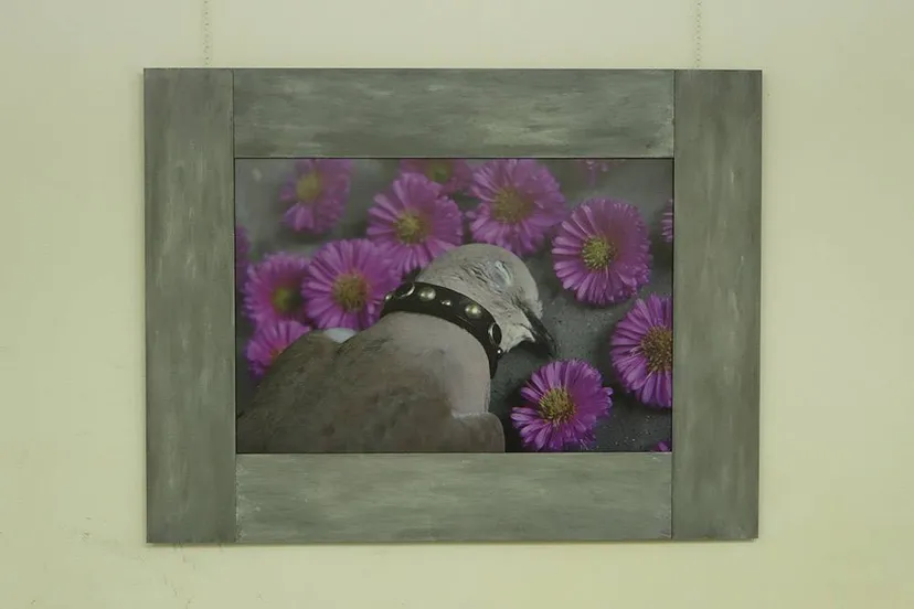 werk van wilma linders