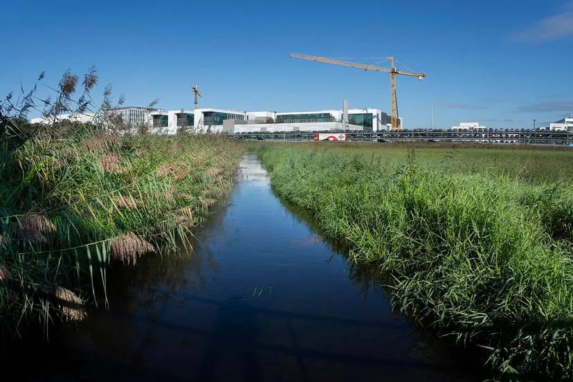 run heers dommel gebied