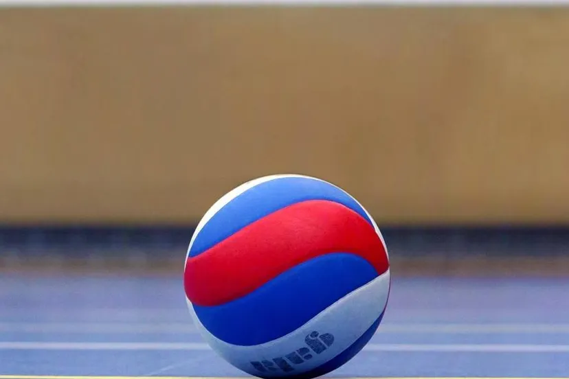 volleyball pixabay taniavdb