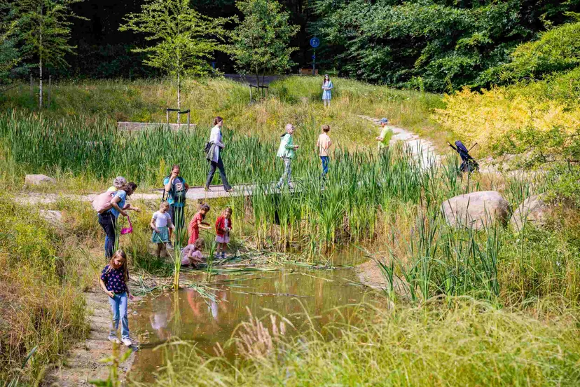 ziggepark foto tom heuijerjans