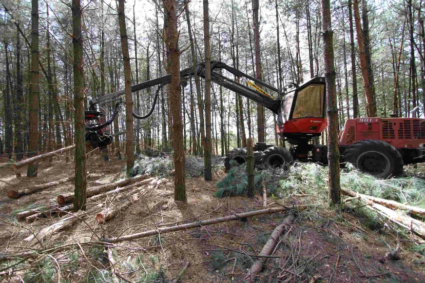 Harvester aan het werk