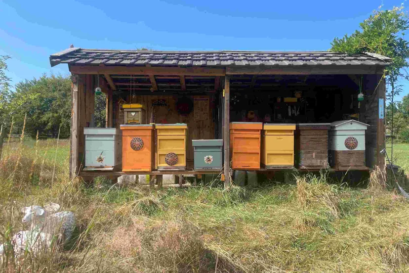 Bijenstand Moestuinwinkel De Wetering