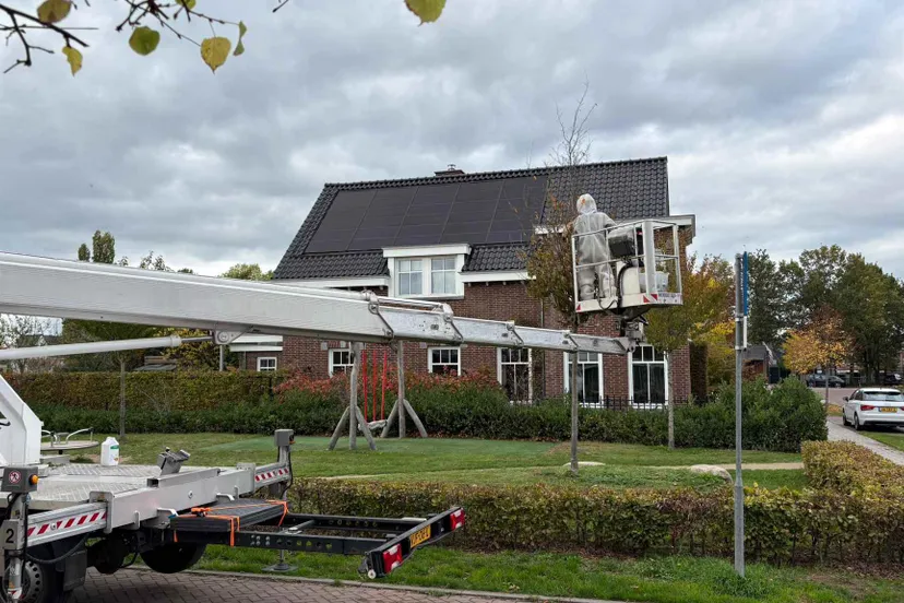 hoornaar-Oerle-Zuid-01