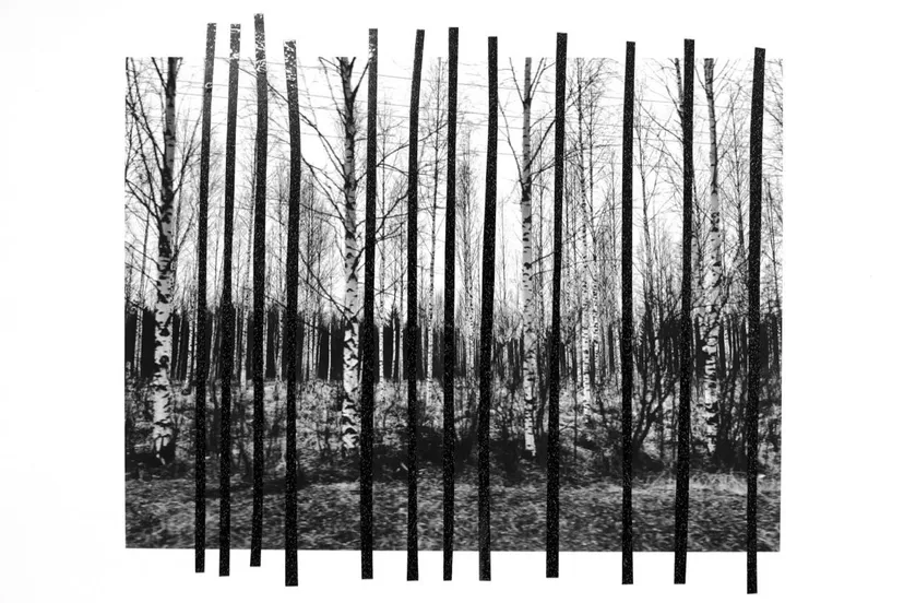 foto Laura Nieuwenhuis 1