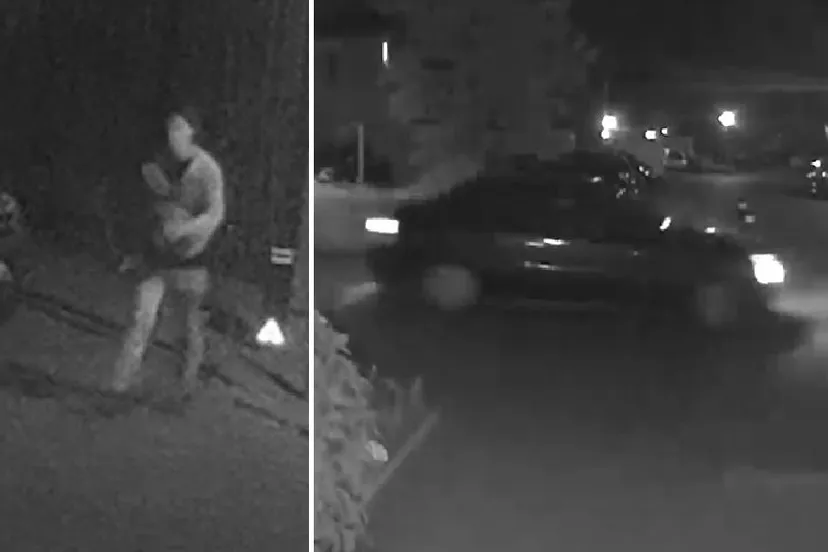 fbb32af9 128f 41e7 8997 39dd630e9d08